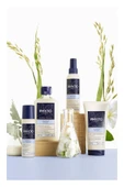 PHYTO Softness Tüm Saç Tipleri Için Günlük Bakım Şampuanı 250 ml - 3