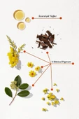 PHYTO Phytocolor 7.43 Kumral Bakır Dore Amonyaksız Kalıcı Bitkisel Saç Boyası - 2