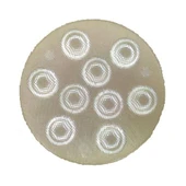 9 LED GRUP LENS 30° TIRTIRLI - 1