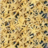 Naturel Deniz Yıldızı Minik Boy 0.5 -2 CM (10 Adet)  Natural - 1