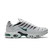 Nike Air Max Plus Dusty Cactus - 1