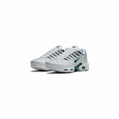 Nike Air Max Plus Dusty Cactus - 2