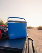 Coleman Performance Tri Color Emea 30 QT Soğutucu Buzluk 28 Lt - 10