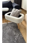 Fahrettin Küçük MİNİ OSLO Wellsoft Kırık Beyaz Sandıklı Puf Kedi Yatağı Makyaj Masası Pufu Salon Pufu Orta Sehpa - 4