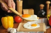 Bambum Victor - Derin Spatula - 3