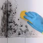 SUGA ANTİ-KÜF ANTİ-MOLD 1 KG - 4