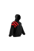 adidas Erkek  Siyah  Ceket ANTED ANORAK JC8782 - 10