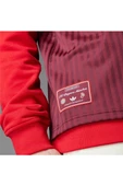 adidas Erkek  Bordo  Forma FCB ICON JSY JF0595 - 12