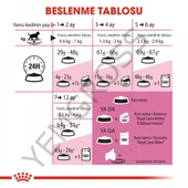 Royal Canin Kitten Yavru Kedi Maması 4 Kg thumbnail 5