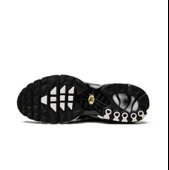 Nike Air Max Plus Black Silver White - 2
