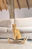 Beeztees DBL Kedi Hamağı, Gri, 51x51x18,5cm - 5