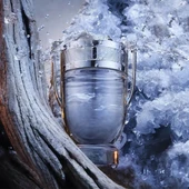 PACO RABANNE Pr Invıctus 100 ml Edt thumbnail 3