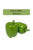 Dolma Biber Tohumu 1 Paket Kandil Dolma Biberi Tohumu Kapalı Paket Yüksek Verimli Sebze Tohum thumbnail 1