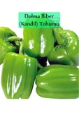 Dolma Biber Tohumu 1 Paket Kandil Dolma Biberi Tohumu Kapalı Paket Yüksek Verimli Sebze Tohum thumbnail 2