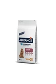Medium Senıor Yaşlı Yetişkin Köpek Maması 3 Kg - 1