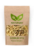 Naturşah Üzerlik Otu (Peganum Harmala L.) 250 Gr - 1