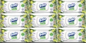 Solo Islak Havlu Mendil 50 Yaprak Limon & Biberiye (9 Lu Set) (3PK*3) 450 Yaprak - 1