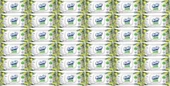 Solo Islak Havlu Mendil 50 Yaprak Limon & Biberiye (36 Lı Set) (12PK*3) 1800 Yaprak - 1
