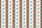Solo Islak Havlu Mendil 50 Yaprak Elma Sirkesi & Karbonat (48 Li Set) (16PK*3) 2400 Yaprak - 1