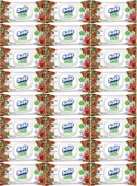 Solo Islak Havlu Mendil 50 Yaprak Elma Sirkesi & Karbonat (24 Lü Set) (8PK*3) 1200 Yaprak - 1