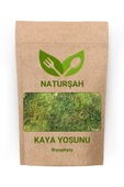 Naturşah Kaya Yosunu (Bryophyta) 500 Gr - 1