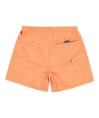 Quiksilver EQYJV04120-802 Everyday Solid Volley 15 Erkek Şort Mayo thumbnail 8