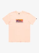 Quiksilver EQYZT08045-MEF0 Ev Gradient Box Ss Erkek Spor Tişört - 5