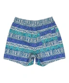 Quiksilver EQYJV04107-GLHD Surfsilk Straight Volley 16 Erkek Şort Mayo thumbnail 8