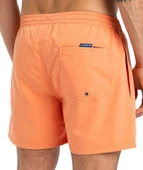 Quiksilver EQYJV04120-802 Everyday Solid Volley 15 Erkek Şort Mayo thumbnail 6