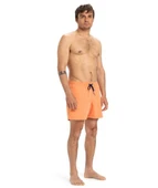 Quiksilver EQYJV04120-802 Everyday Solid Volley 15 Erkek Şort Mayo thumbnail 2
