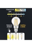 3 Renkli Led Filament Rustik Ampul 6W E27 A60 ERD-261 - 2