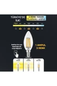 3 Renkli Led Filament Rustik Ampul 6W E14 C35 ERD-260 - 2