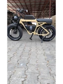 Ape Ryder Bonobo 250 W Sarı İki Kişilik Elektrikli Bisiklet - 3