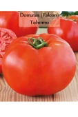 6 Paket Tohum No1 Salatalık Tohumu Domates Çeri Domates Tohumu Tatlı Biber Cin Üçburun Biber Tohumu - 5