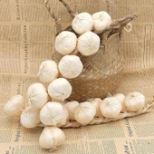 Nettenevime Yapay Soğan Salkımı Süs Sahte Beyaz Soğan Yapay Meyve Sebze thumbnail 5