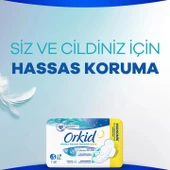 Orkid Ped (Gece) - 2