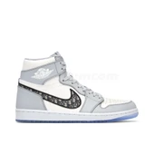 Nike Air Jordan 1 High Dior Wolf Grey Sail - 1