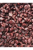Yaban Mersini Kurusu Cranberry 500g - 1