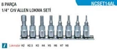 NT TOOLS 1/4'' ALLEN LOKMA TAKIMI 8 PARÇA NCSET14AL - 1