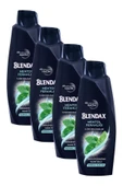 Blendax Erkekler Için Mentollü Şampuan 500 ml X 4 Adet - 1