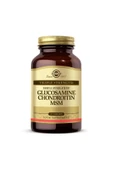 Solgar Glucosamine Chondroitin Msm 60 Tablet - 1