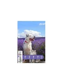 Supravet Dry Shampoo Lavanta Özlü Kedi Köpek Toz Şampuan 150ml - 2