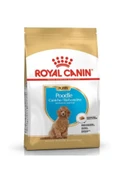 Dog Bhn Poodle Junior Köpek Maması 3 Kg - 3