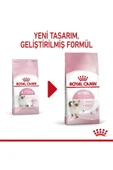 Kitten Yavru Kuru Kedi Maması 2 Kg - 4