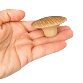 Bohem Plastik Kulp Ceviz Bombeli Düğme Mobilya Mutfak Dolap Dolabı Çekmece Kulbu Kulpları thumbnail 5