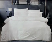 Altınbaşak Jakarlı Saten Çift Kişilik Nevresim Takımı Adelya Arcane thumbnail 2