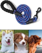 Busstier Reflektörlü Köpek Gezdirme Tasması  150 cm Naylon, Yumuşak Sap, Orta ve Büyük Irklar İçin - 2