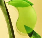 Yepoda The Depuff Eyespresso – Şişlik Azaltıcı Kafein ve Yeşil Çay Göz Maskeleri 90g - 4