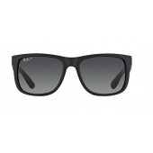 Rayban RB4165-622-T3 Unisex Güneş Gözlüğü - 1
