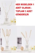 3 Tek Adet 3 Model Aromaterapi Koku Dağıtıcı Rattan Şişe Ahşap Difüzör Çubuk (spiral-yaprak-dalgalı) - 1